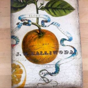 Sid Dickens T422 Sweet Orange